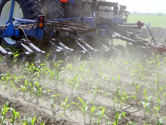 Viewing a thread sidedressing unemerged corn